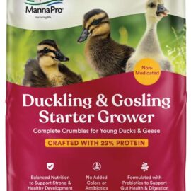Manna Pro Duck Starter Grower Crumble | Non-Medicated Feed for Young Ducks | Supports Healthy Digestion