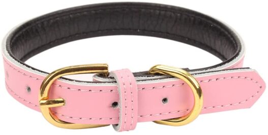 AOLOVE Basic Classic Padded Leather Pet Collars for Cats Puppy Small Medium Dogs