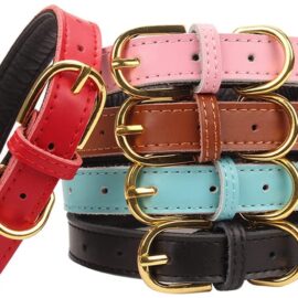 AOLOVE Basic Classic Padded Leather Pet Collars for Cats Puppy Small Medium Dogs