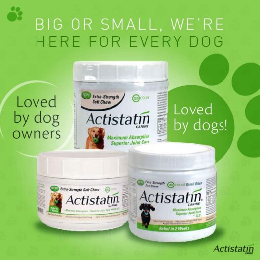 Actistatin Canine - Patented Extra-Strength Joint, Cartilage, Soft Tissue Supplement: Glucosamine, Chondroitin, Manganese, MSM, L-Carnitine - High Absorption, Fast Results