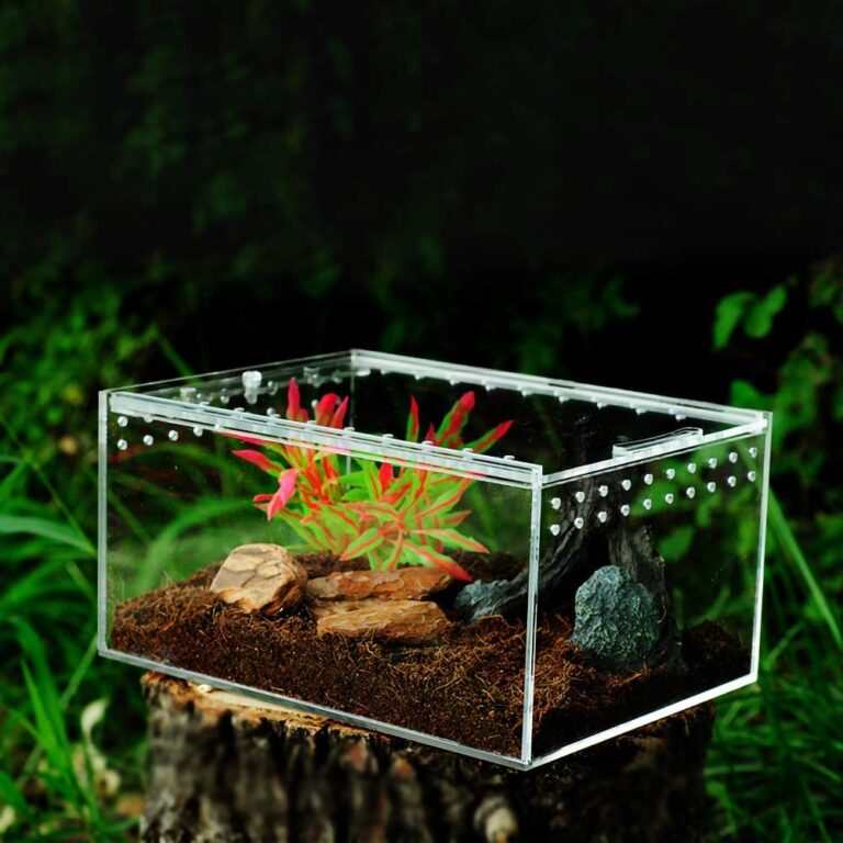 MABELER Magnetic Acrylic Reptile Cage 4″x3.2″x2.4″ Nano Enclosure ...