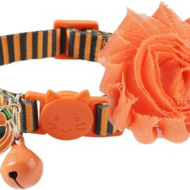Fall Cat Collar with Bell and Pumpkin Charm