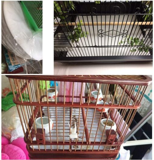 Bonaweite Disposable Non-Woven Bird Cage Liners Papers, Parrot Pet Cages Cushion Pad Mat Accessories, Square-200 Sheets