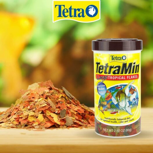 TetraMin Large Tropical Flakes For Top or Mid Feeders