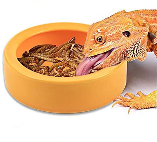 TDPET Ceramic Mini Reptile Worm Dish - Lizard Escape Proof Feeding Bowl Circular