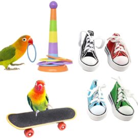 BWOGUE Bird Training Toys Mini Sneaker Skateboard Intelligence Training Rings Toy Parrot Foot Toys Bird Foraging Toys for Parakeet Cockatiel Conure Budgie African Grey Cockatoo Amazon