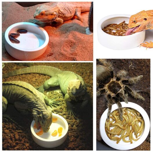 TDPET Ceramic Mini Reptile Worm Dish - Lizard Escape Proof Feeding Bowl Circular