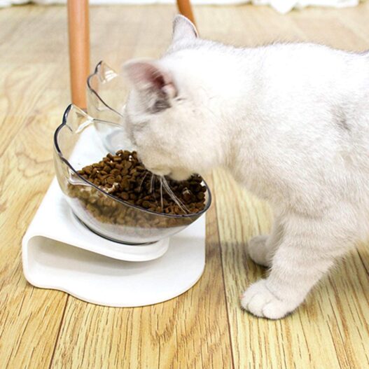 Pet Food & Water Bowls with Stand Base,Anti-Skid Cat Feeder Transparent Bowl Pet Food Dish