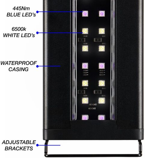 Current USA Satellite Freshwater LED Plus Light for Aquarium