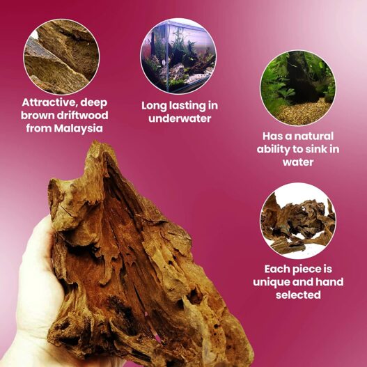 Dr. Moss Malaysian Driftwood for Aquarium Freshwater Aquascaping - Natural Driftwood for Reptiles Terrarium Tank, Gnarly Wood Bark Branch Fish Tank Decorations - Aquarium Drift Wood