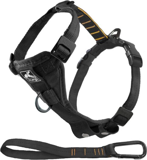 Kurgo Dog Harness | Pet Walking Harness | Car Harness for Dogs | Front D-Ring for No Pull Training | Includes Dog Seat Belt Tether | Tru-Fit Smart Harness | For Small, Medium, & Large Dogs