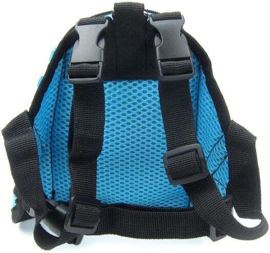 Alfie Pet - Oliga Backpack Harness with Leash Set