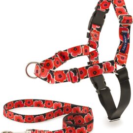 PetSafe Easy Walk Chic Dog Harness, No Pull Dog Harness – Perfect for Leash & Harness Training – Stops Pets from Pulling and Choking on Walks – Works with Small, Medium and Large Dogs